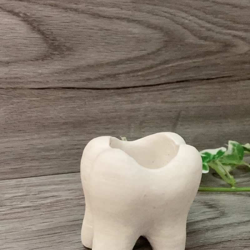 齒狀牙刷座 珪藻土牙刷座 文創商品牙齒牙刷座 - 其他 - 其他材質 白色
