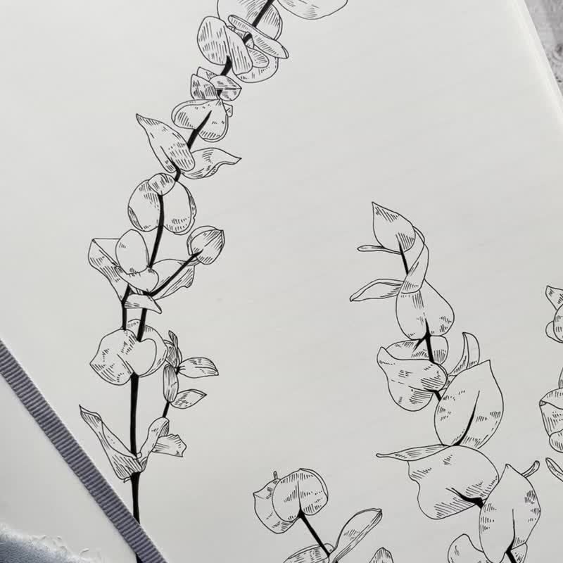 尤加利葉 PET膠帶 -4cm*5M - 紙膠帶/和紙/PET - 塑膠 綠色