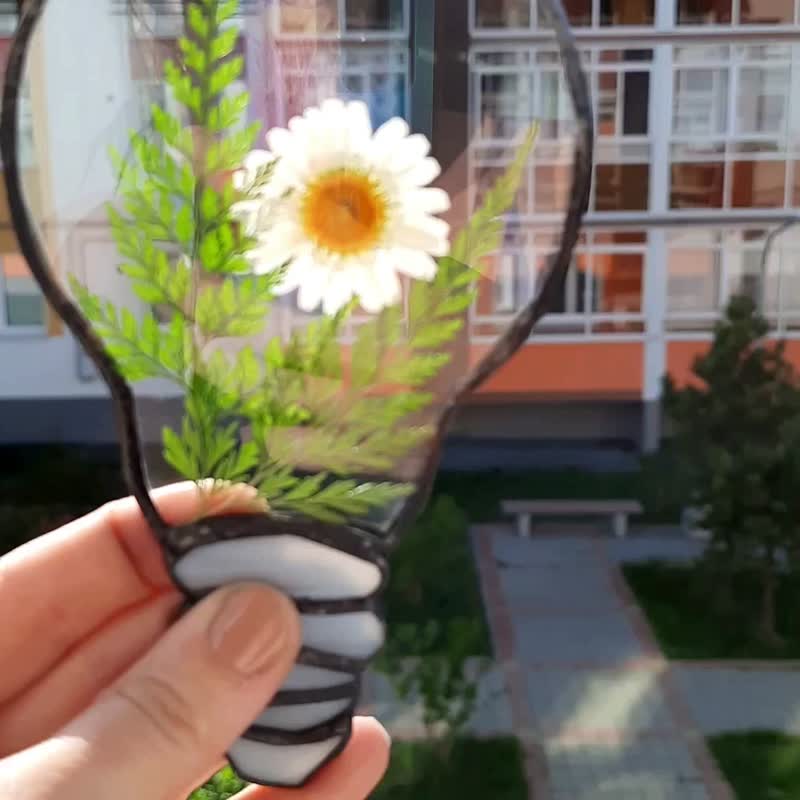洋甘菊  干花框架  压花框架  彩色玻璃。太阳镜 - 擺飾/家飾品 - 植物．花 多色