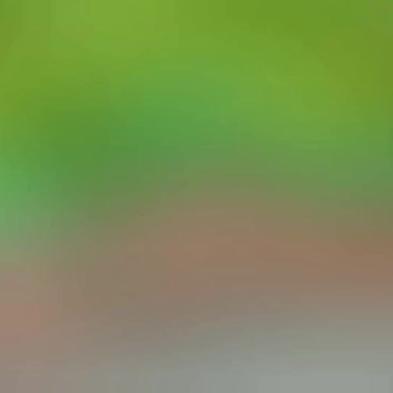 Mandrake or Mandagora model, 100% handmade, polymer clay material - 盆栽/植栽 - 其他材質 多色