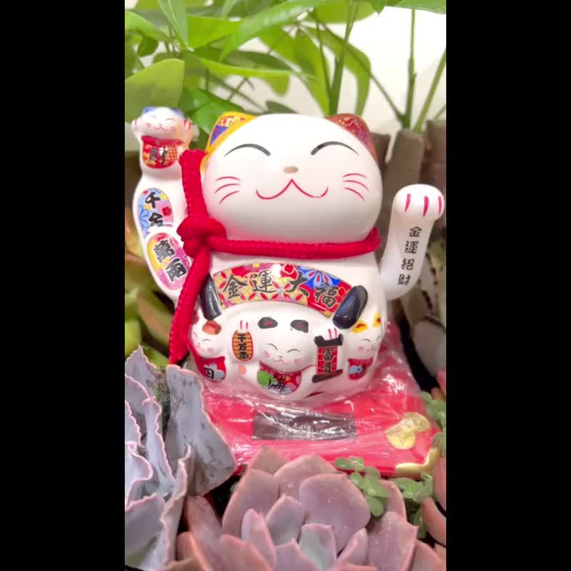 【預購款】送禮體面大方8吋大組盆 可宅配 高雄地區專人送到府 - 植栽/盆栽 - 陶 