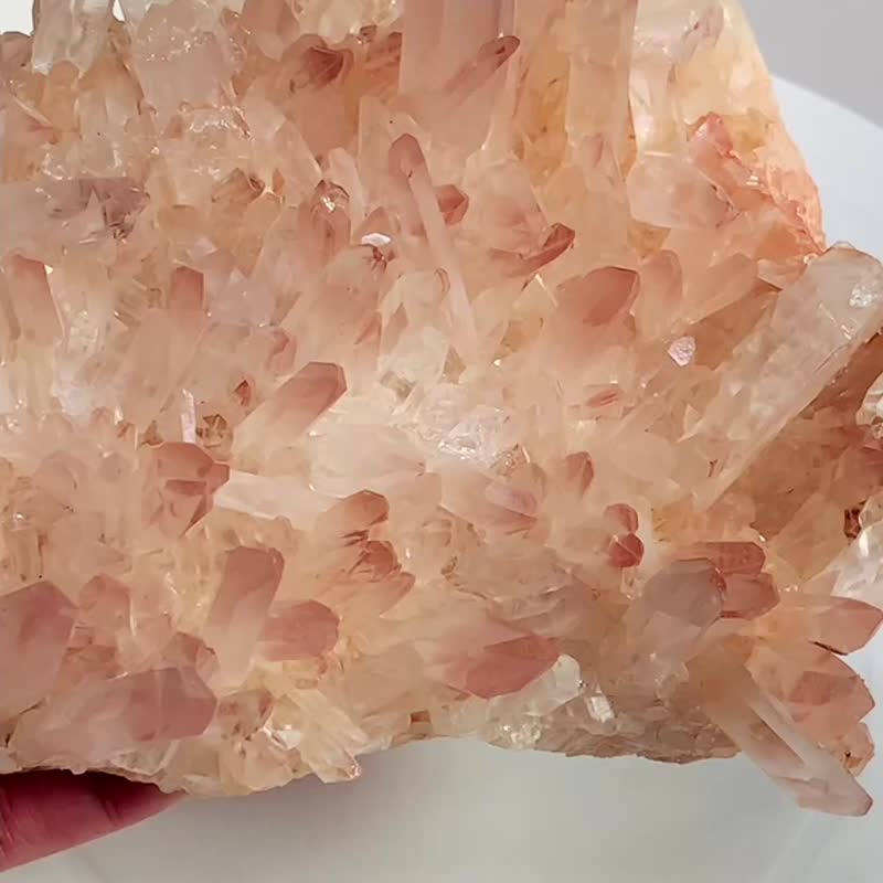 Crystal Corner 隅石丨仙女粉晶簇201丨淨化丨療癒水晶法寶 - 擺飾/家飾品 - 水晶 
