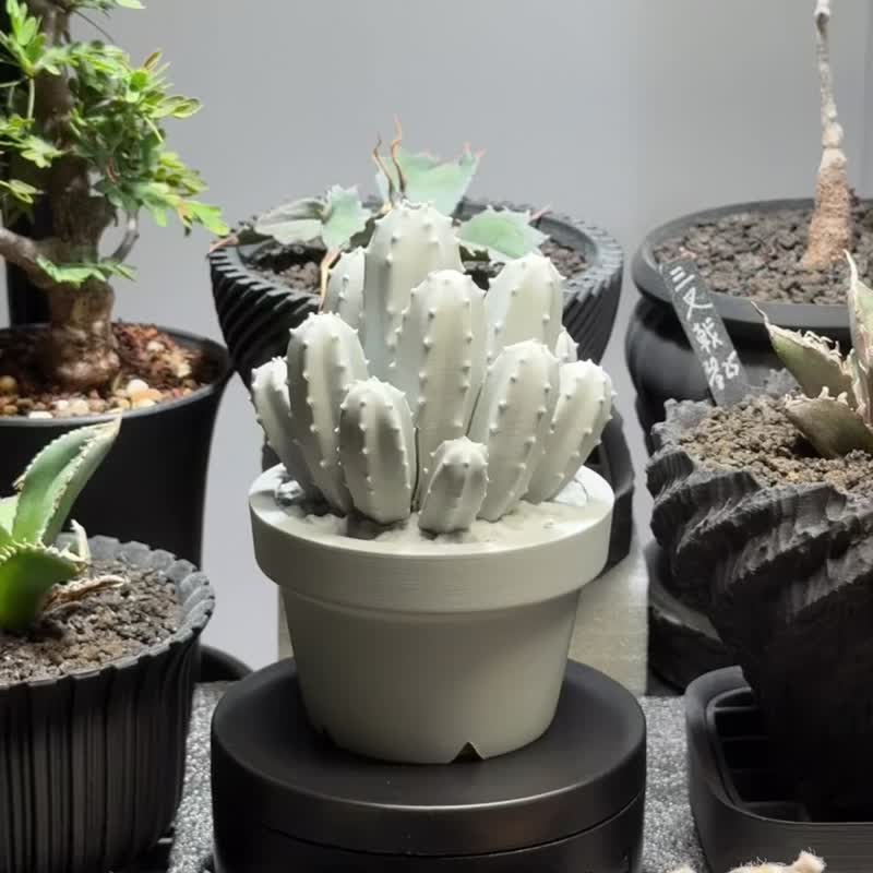 Wanzhongshan Style Incense Burner / Incense Holder / Original Design / 3D Printed / Succulent Caudex Plant / Gift Idea - ของวางตกแต่ง - พลาสติก สีดำ