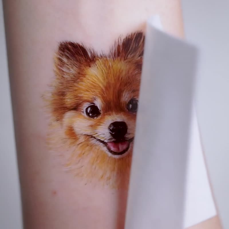 Microrealistic Pomeranian tattoo located on the inner