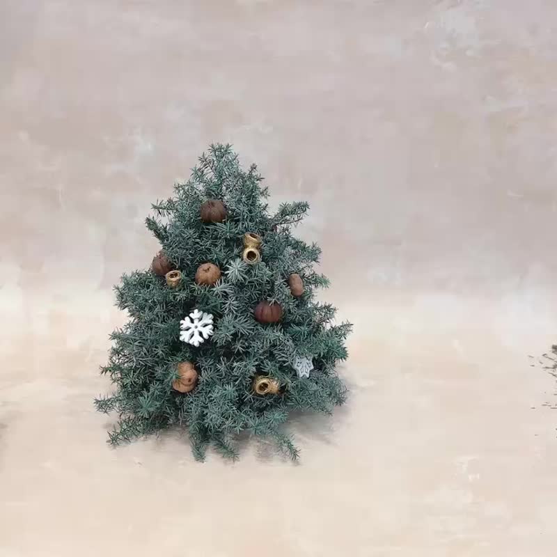 【療園】迷你永生聖誕樹材料包  手做材料包 聖誕節 - 乾燥花/永生花 - 植物．花 綠色