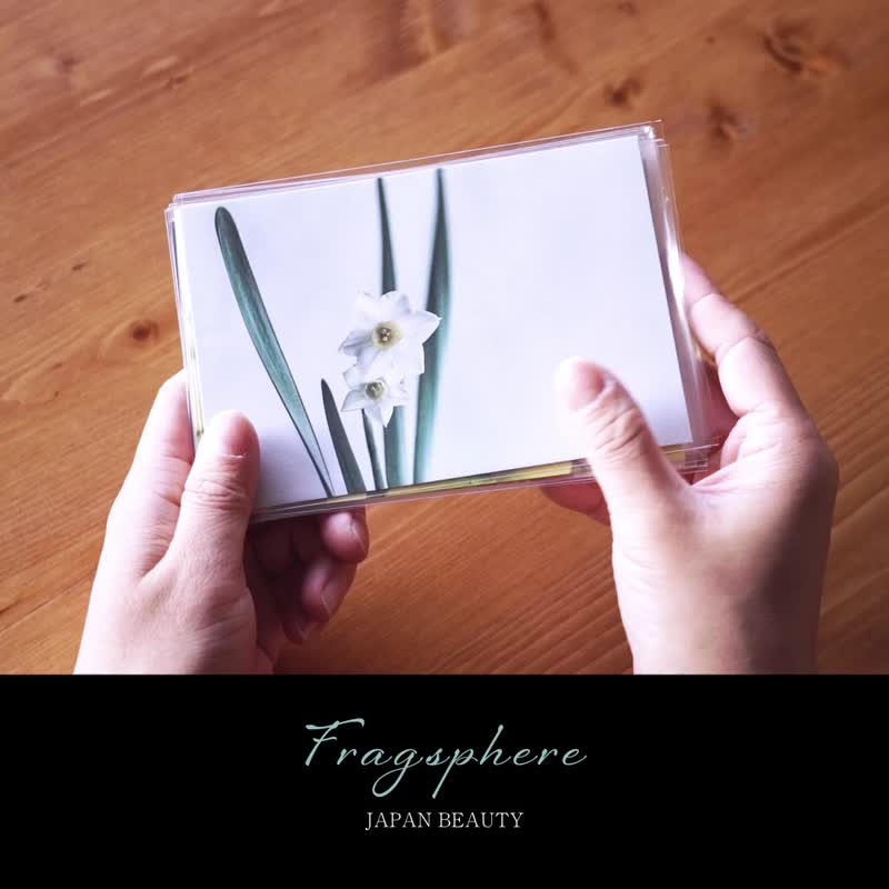 Fragsphere 思いを彩る 花のレターセット 封筒付き 10枚セット ハガキサイズ 日本製 FLP-001B - 卡片/明信片 - 紙 