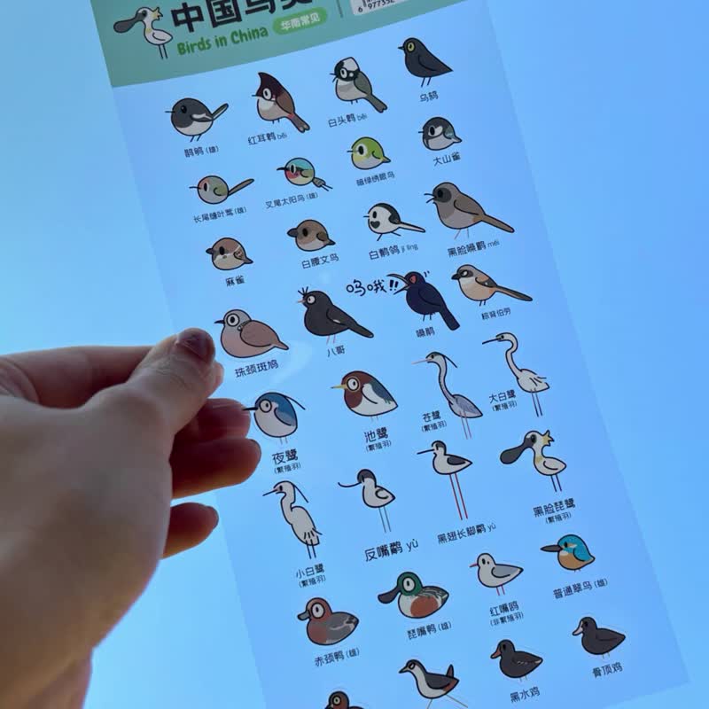 小鳥貼紙手賬裝飾禮物設計新穎可愛手賬愛好者 - 貼紙 - 其他材質 透明