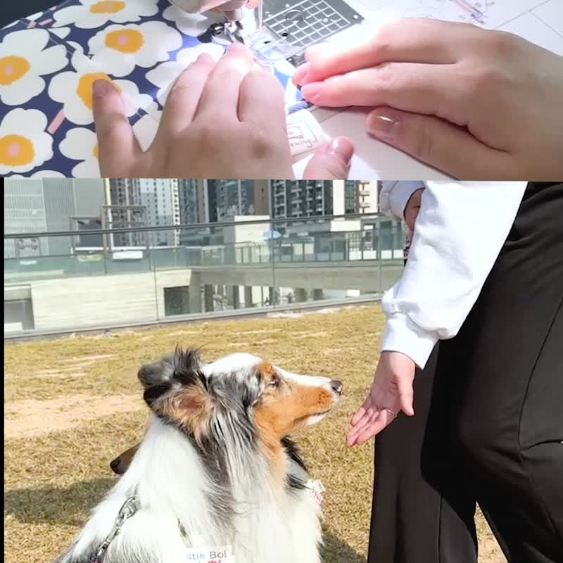 隨身寵物零食袋(連零食) | 蛋撻 - 寵物零食/肉乾 - 防水材質 橘色