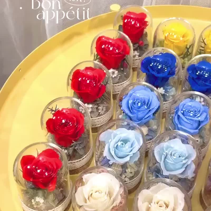 | 小夢境花藝 | 永生玫瑰花 玻璃器皿 日本大地農園永生小玫瑰 - 乾花/永生花 - 植物．花 白色