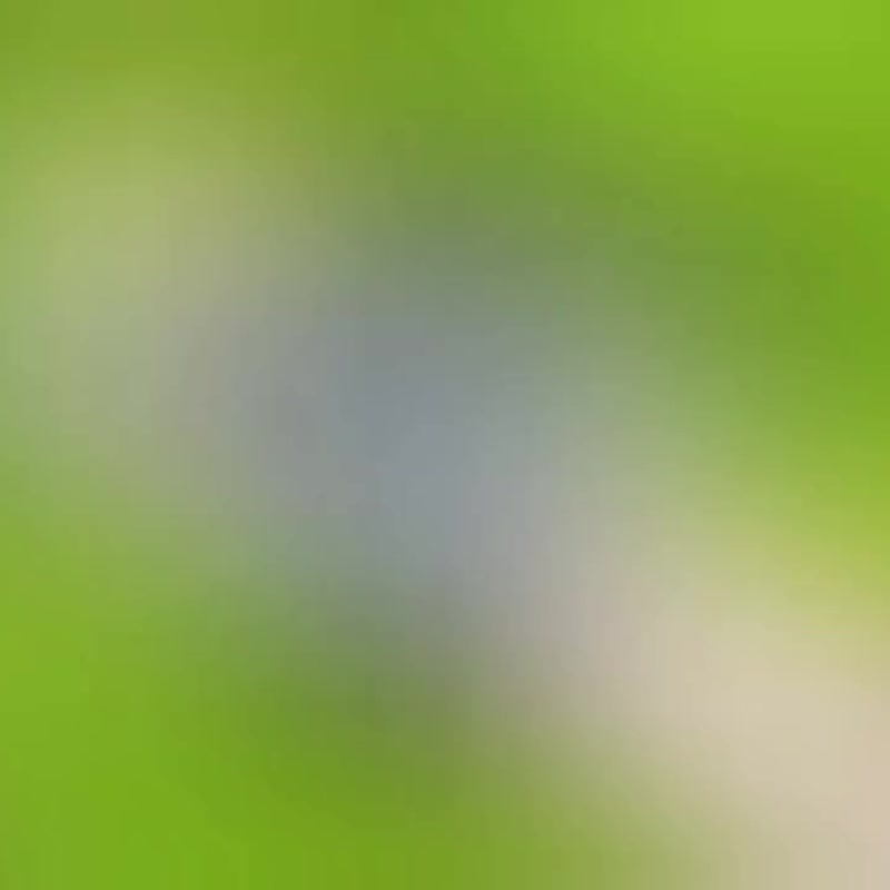 Bird&Bone hairpin 01 100% handmade, polymerclay ,  approximately 6.5 inches - 髮夾/髮圈 - 其他材質 灰色