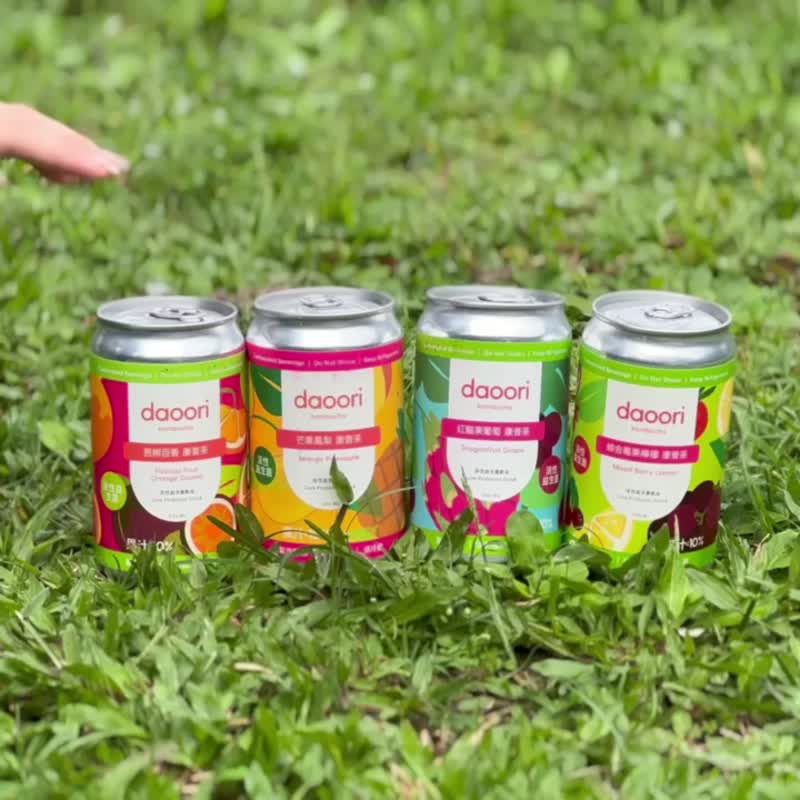 Daoori Kombucha - 24 Variety Pack - อาหารเสริมและผลิตภัณฑ์สุขภาพ - อาหารสด 