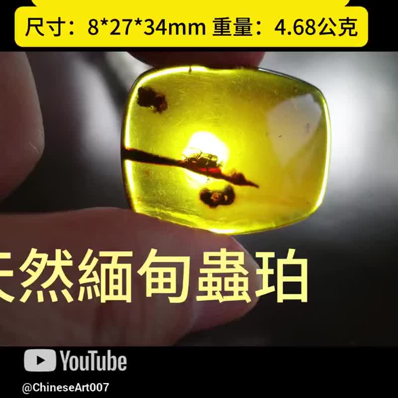 Natural Burmese amber insect amber 4.68g Amber gold amber raw stone amber Cretaceous time and space glue - พวงกุญแจ - เครื่องประดับพลอย สีทอง