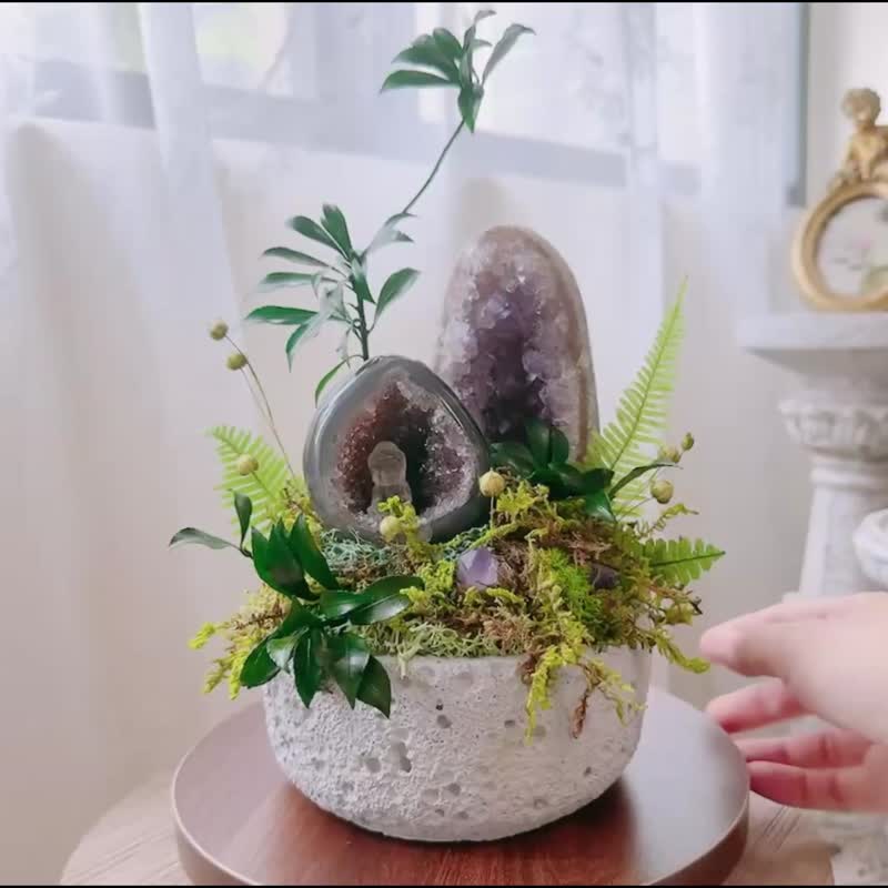 靜心_陋室銘。紫水晶洞 消磁晶鎮 永生葉材_不用澆水的天然 - 盆栽/植栽 - 水晶 綠色