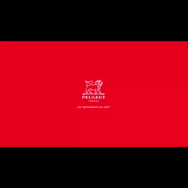 【法國製造】 Peugeot Boreal 卵石灰 鹽磨坊 21cm - 調味罐/醬料罐 - 木頭 灰色