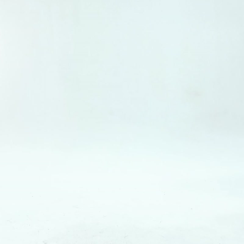 動物塗鴉藍色外套 /大象 獅子 鱷魚 河馬 - 女大衣/外套 - 棉．麻 藍色