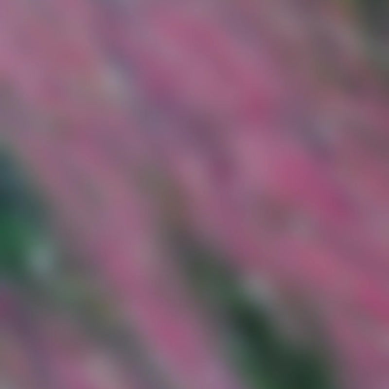 壓克力畫/丙烯藝術/原創手繪【柔.生】送禮祝福/30×30裝飾畫 - 擺飾/家飾品 - 壓克力 