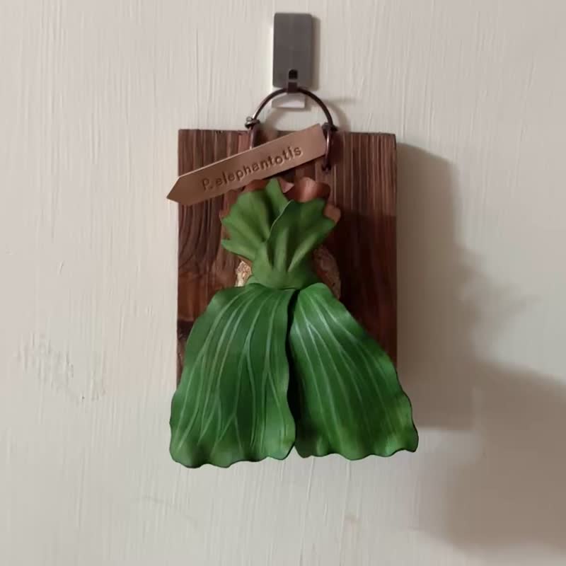 象耳皮革鹿角蕨 - 擺飾/家飾品 - 真皮 