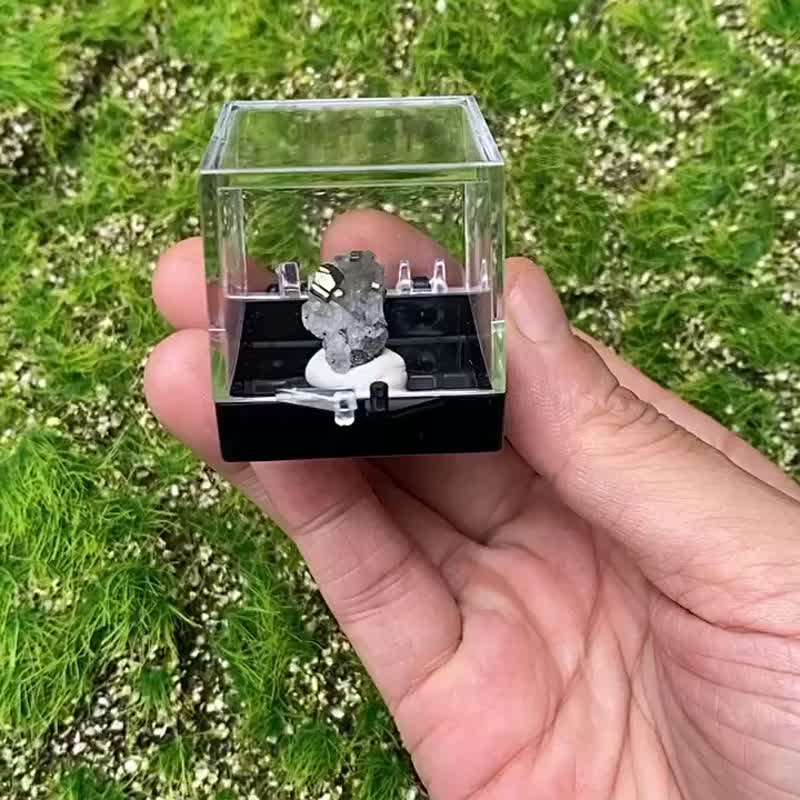 Little energy ore decoration-cute boutique little mini Stone symbiotic Bronze to increase wisdom and wealth - ของวางตกแต่ง - คริสตัล หลากหลายสี