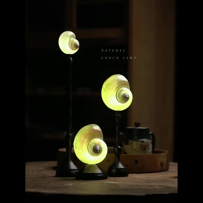 ZUOY 佐佑木燈 天然海螺檀木無線檯燈 -天然海螺月光系列- - 燈具/燈飾 - 木頭 