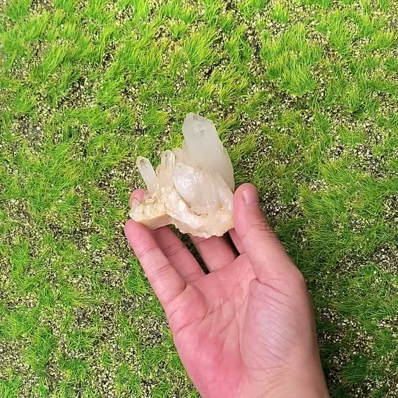 天然原礦菠蘿雙生白水晶簇 開運 可消磁手鍊 快速出貨 入厝禮物 - 擺飾/家飾品 - 水晶 白色