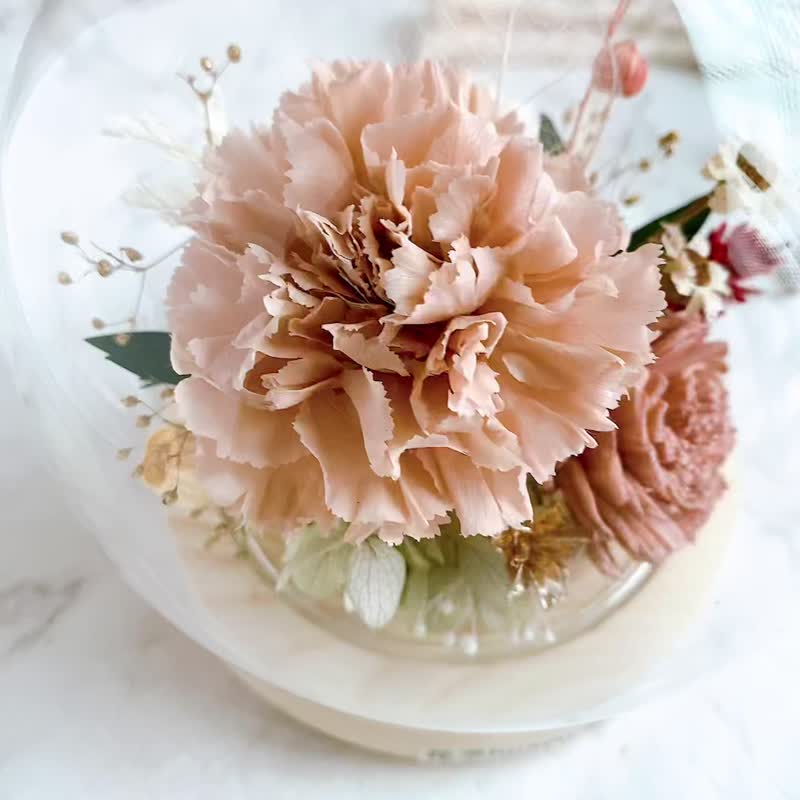 (Customized) Preserved Flowers Dried Flowers Mother’s Day Preserved Carnation Gifts Recommended Flower Gifts - Dried Flowers & Bouquets - Plants & Flowers Pink