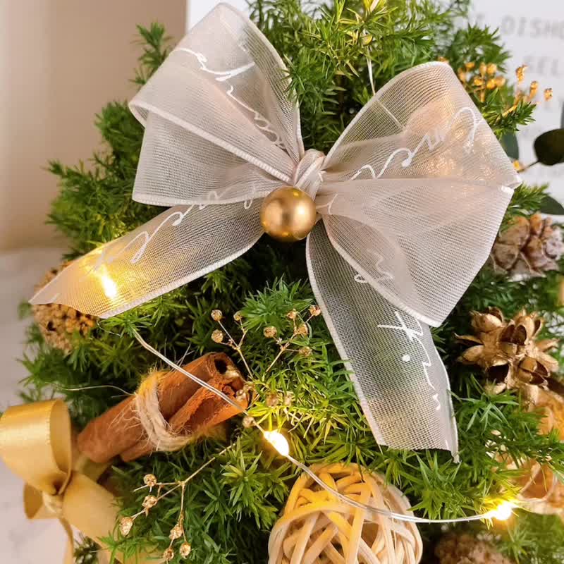 Japan Everlasting Cedar Christmas Tree Harvest Brilliant Gold Exchange Gift Christmas Gift Box Christmas - Dried Flowers & Bouquets - Plants & Flowers Green