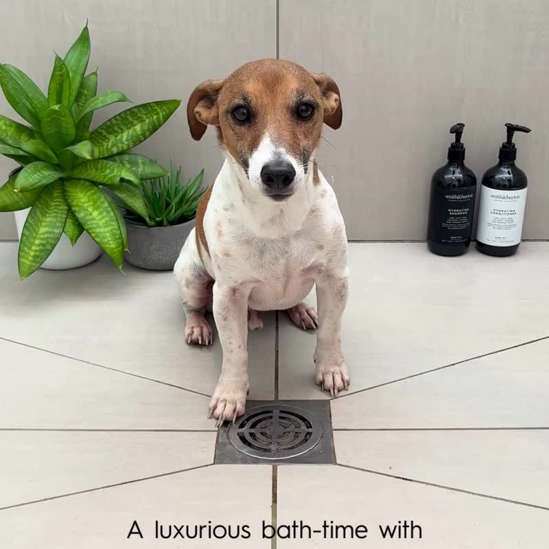 【smith&burton】寵物純淨洗毛精500ml(犬貓適用) - 寵物沐浴乳/洗毛精 - 濃縮/萃取物 
