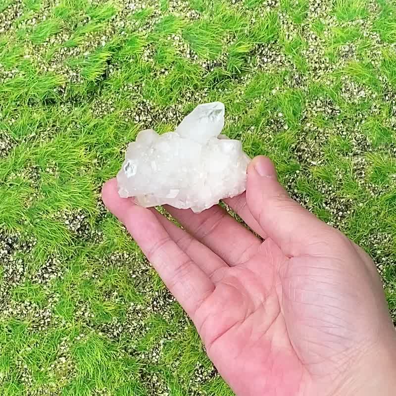 天然原礦純淨白色鑽石魚眼石晶簇 釋放負面磁場 提升洞察力 - 擺飾/家飾品 - 水晶 白色