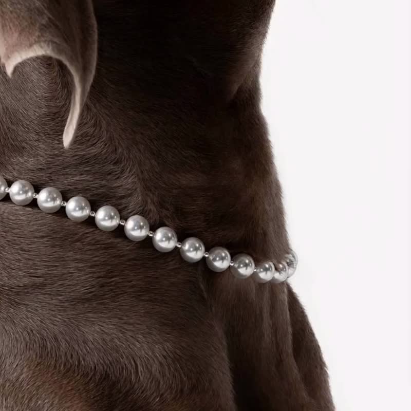 Luxurious Pearl & Silver Necklace For Pets And Humans, Full-size, Cats And Dogs - ปลอกคอ - คริสตัล 