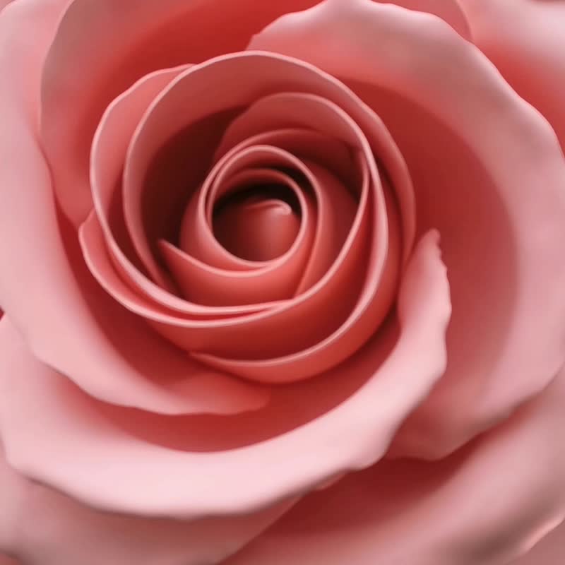 Giant Self-Standing Pink Rose. Party Big Flowers Decor. Backyard Wedding Decor - Other - Other Materials 