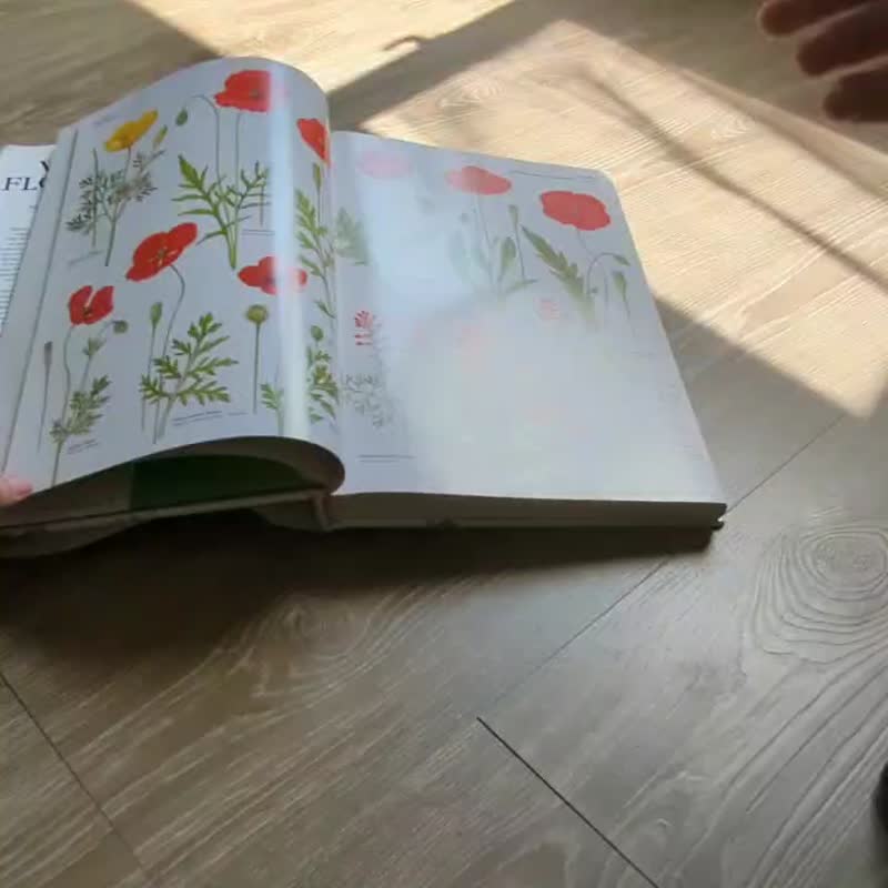 不列顛群島的野花/老書/古書/圖鑑/花藝 - 刊物/書籍 - 紙 黃色