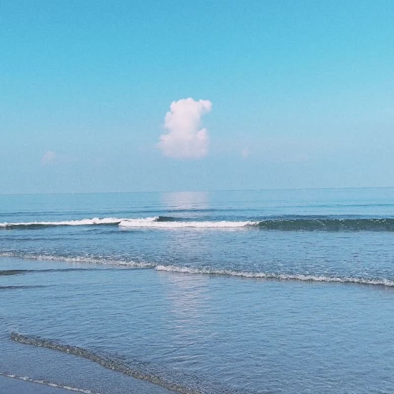 萬用快乾巾/浴巾/海灘巾/毛巾-鯊魚圖鑑。海洋藍 - 運動配件 - 聚酯纖維 藍色