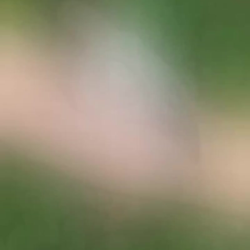 Bird&Bone hairpin 02 100% handmade, polymerclay   approximately 4.5  inches - 髮夾/髮圈 - 其他材質 灰色