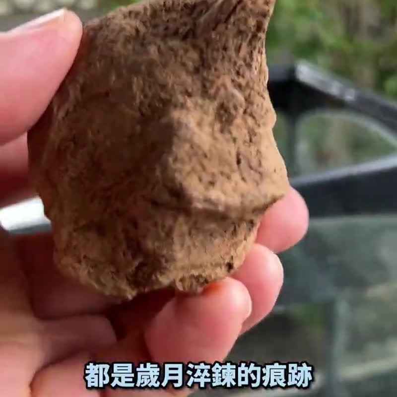 加里曼丹 野生沉香老料 90公克 沉香擺件 【沉水級】 星洲系 - 擺飾/家飾品 - 木頭 卡其色