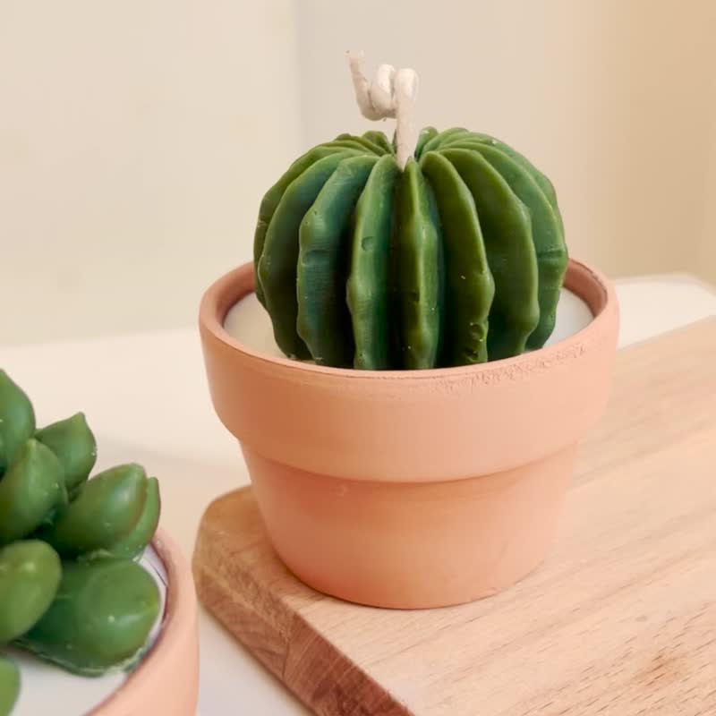 [Small Office Object] Small Succulent Candle-Plant Soy Candle/JUNO Candle - น้ำหอม - ขี้ผึ้ง สีเขียว