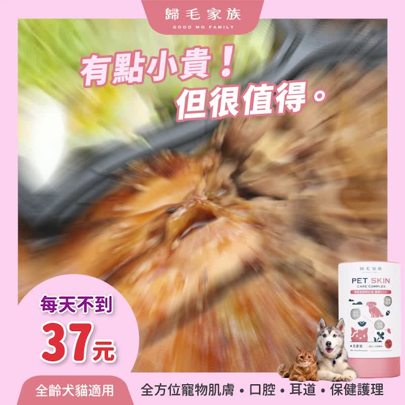 【歸毛家族】Good寶系列寵物保健品－美膚寶1入組(二代升級) - 其他 - 其他材質 