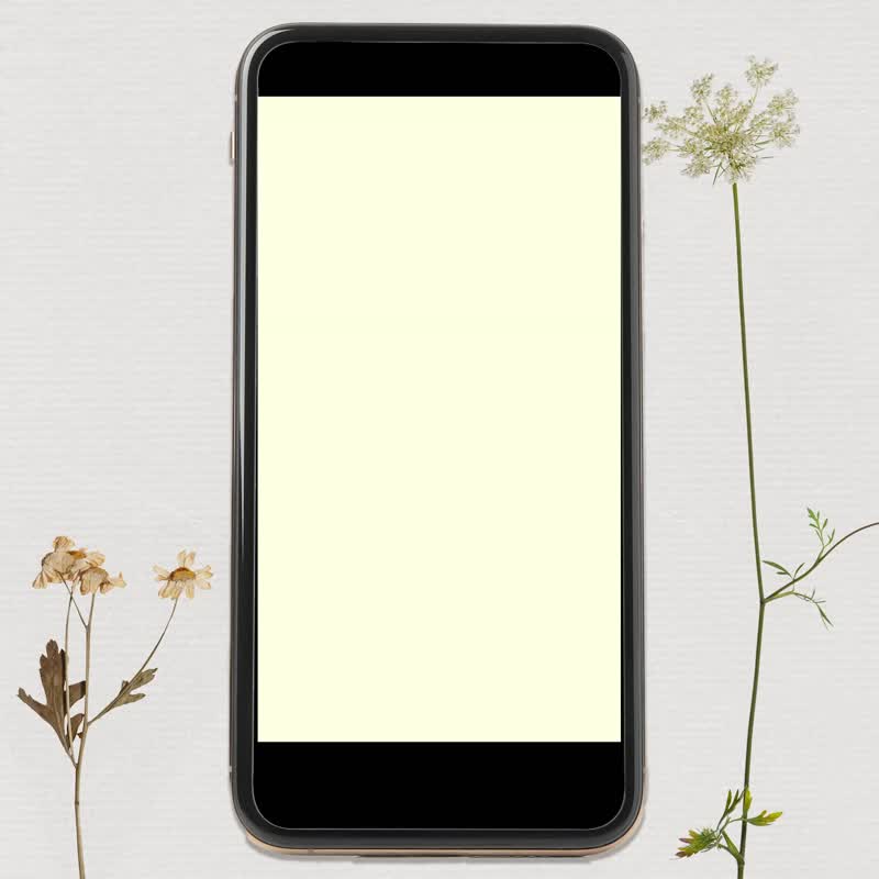 【植物插畫】動態電子喜帖 | 花框日記_B01 - 電子喜帖/賀卡/邀請函 - 其他材質 