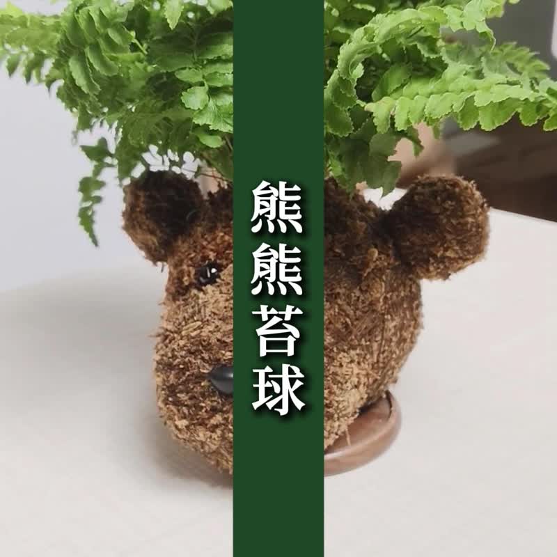 李的綠意花園 熊熊苔球材料包 水苔球 苔球 手做材料包 親子活動 - 花藝/盆栽/植栽 - 植物．花 綠色