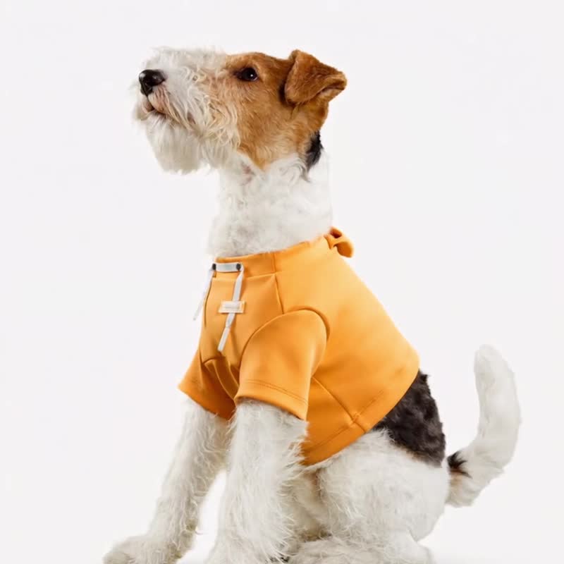 bump up【Crop Hoodie】高腰衛衣寵物狗狗衣服 - 寵物衣服 - 聚酯纖維 藍色