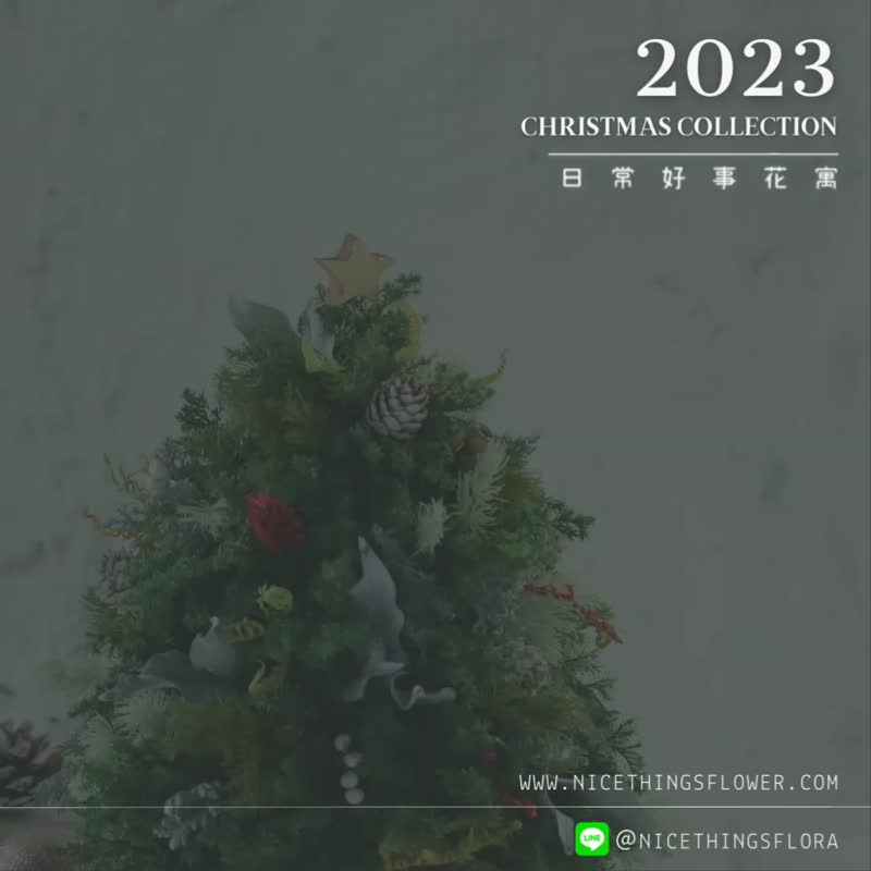 2023 Christmas edition diffuser bottle 120ml Christmas gift exchange gift Christmas - ช่อดอกไม้แห้ง - พืช/ดอกไม้ 