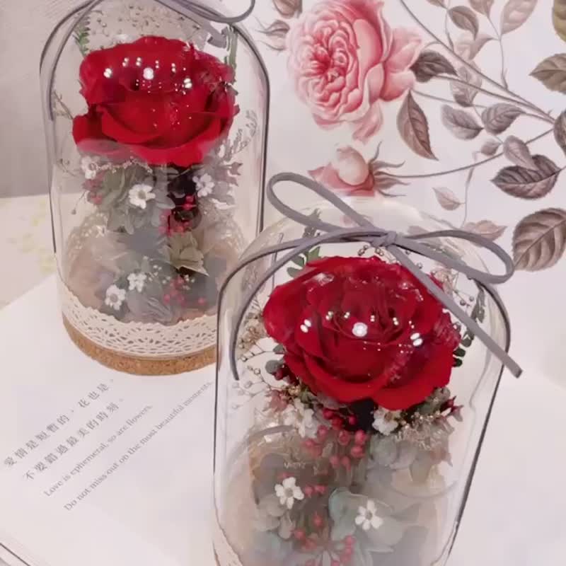 | Small Dreamland Flower Art | Immortal Rose Glass Bell Jar Japan Land Farm Immortal Flower Glass Bottle - ช่อดอกไม้แห้ง - พืช/ดอกไม้ ขาว