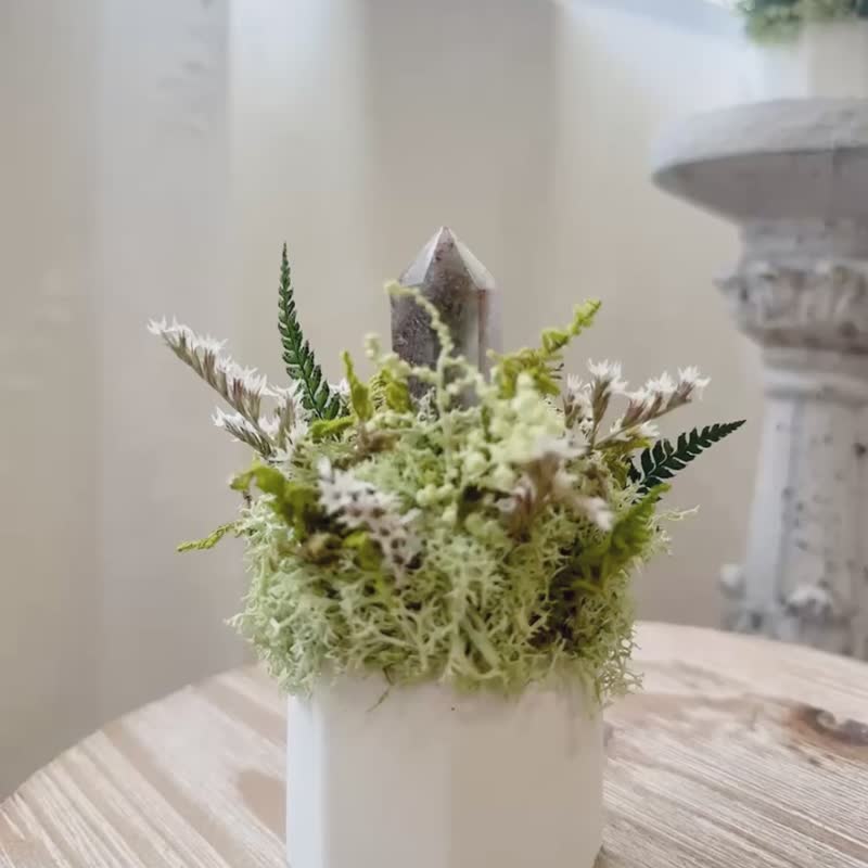 綠幽靈水晶 專注與成長。水晶 永生葉材綠植栽 - 盆栽/植栽 - 水晶 綠色