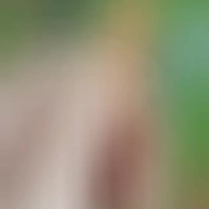 cat polymer clay  worrystone. - 其他 - 其他人造纖維 多色