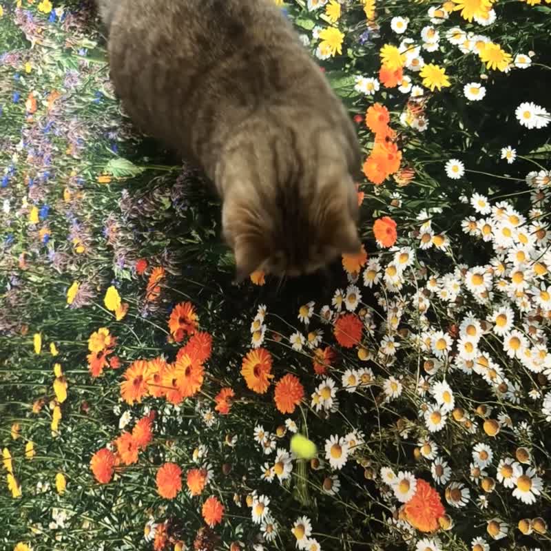 Secret Garden, landscape rug - 地墊/地毯 - 聚酯纖維 綠色