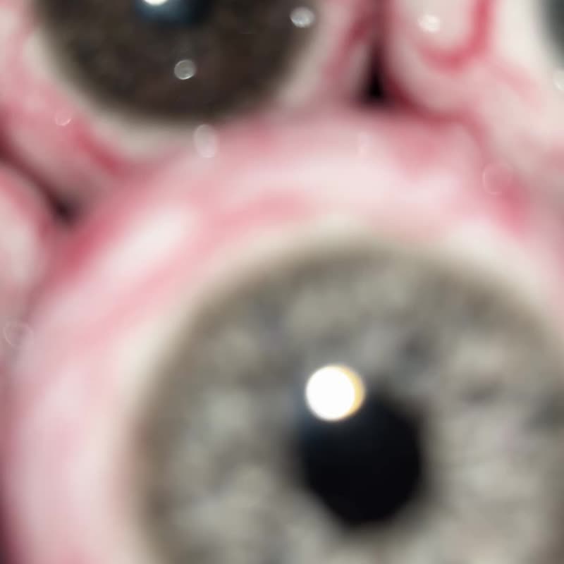 眼球可做項鍊或掛飾 - 項鍊 - 其他材質 