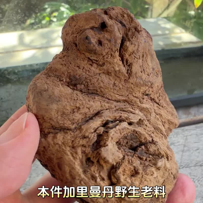 Kalimantan Wild Agarwood Old Stock 136g Decorative Piece [Sinking Grade] Sinking Grade - ของวางตกแต่ง - ไม้ สีกากี