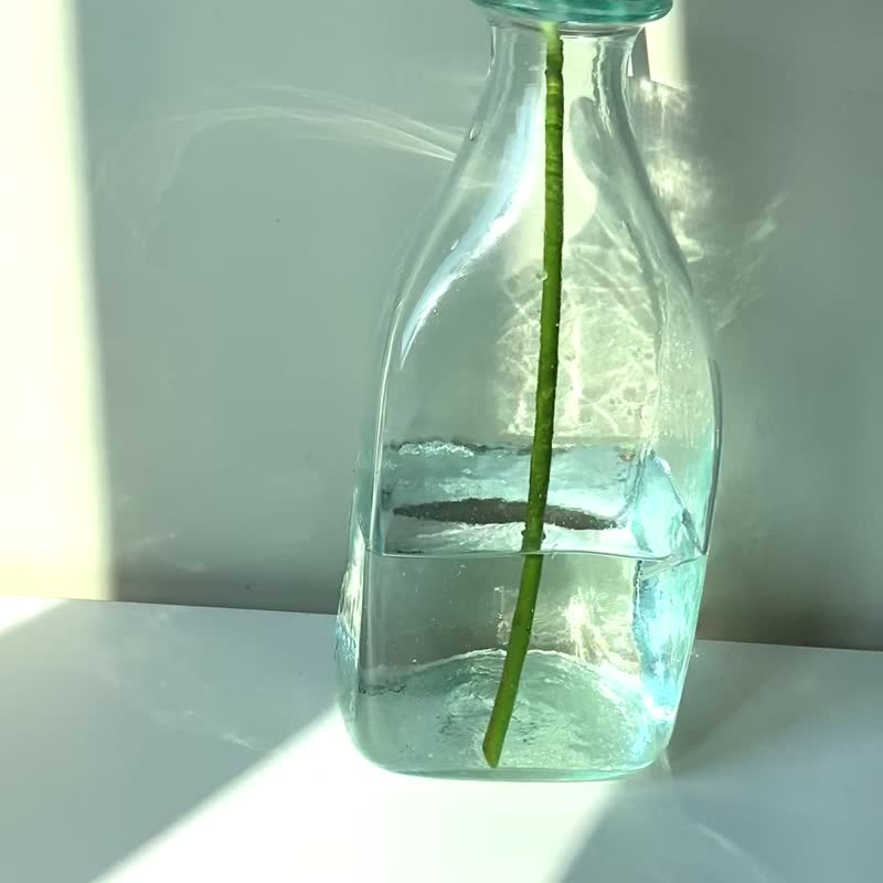 法國La Soufflerie玻璃瓶/玻璃/花瓶/花樽 - 花瓶/花器 - 玻璃 透明