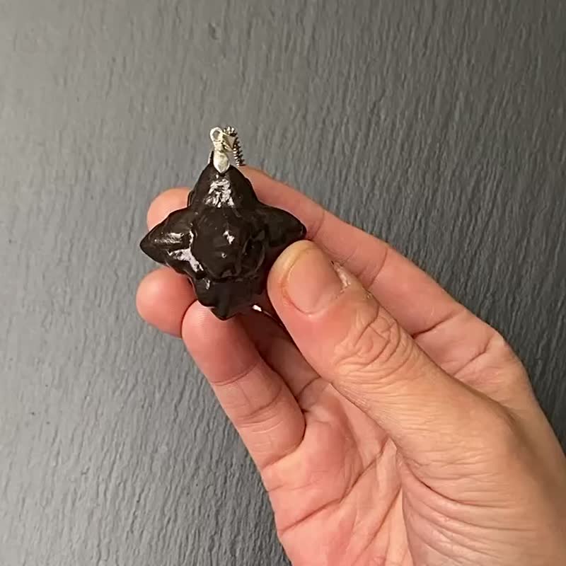 能量原石-天然埃及預言石 上帝溝通石 天機石 925純銀鈦鋼項鍊 - 項鍊 - 水晶 咖啡色