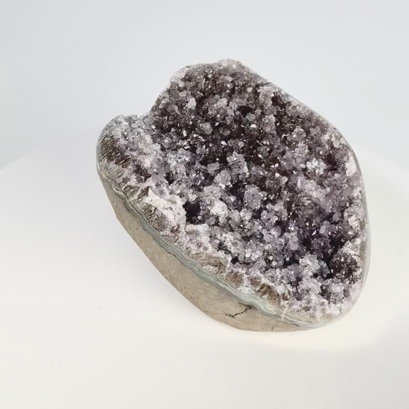 Vision color frosting disk 610640 - Items for Display - Crystal Purple