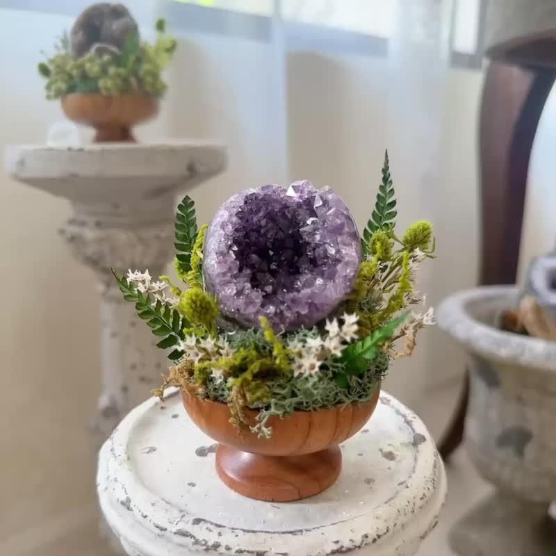 紫水晶 晶鎮 窩窩 迷你小財庫。 微景觀永生葉材 綠植栽 - 盆栽/植栽 - 水晶 紫色